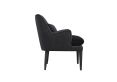 Saltmarsh Anthracite Grey Upholstered Accent Chair